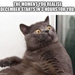 Dumb Meme #75 | THE MOMENT YOU REALISE DECEMBER STARTS IN 3 HOURS FOR YOU: | image tagged in the moment when you realise exams are in a month | made w/ Imgflip meme maker