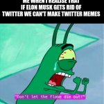 DONT LET THE FIME DIE OUT | ME WHEN I REALISE THAT IF ELON MUSK GETS RID OF TWITTER WE CAN'T MAKE TWITTER MEMES | image tagged in dont let the flame die out | made w/ Imgflip meme maker