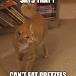 yelling cat | ME WHEN SOMEONE SAYS THAT I; CAN'T EAT PRETZELS FOR THE 5TH TIME TODAY | image tagged in yelling cat | made w/ Imgflip meme maker