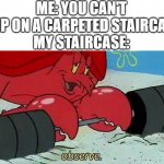 How does it happen??? | ME: YOU CAN'T SLIP ON A CARPETED STAIRCASE
MY STAIRCASE: | image tagged in observe | made w/ Imgflip meme maker