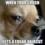 Crying chihuahua | WHEN YOUR CRUSH; GETS A EDGAR HAIRCUT | image tagged in crying chihuahua | made w/ Imgflip meme maker