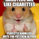 Thumbs up hamster  | HAMSTERS ARE LIKE CIGARETTES; PERFECTLY HARMLESS UNTIL YOU PUT THEM IN YOUR MOUTH AND LIGHT THEM ON FIRE | image tagged in thumbs up hamster | made w/ Imgflip meme maker