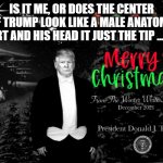 How things can be perceived | IS IT ME, OR DOES THE CENTER OF TRUMP LOOK LIKE A MALE ANATOMY PART AND HIS HEAD IT JUST THE TIP ...LOL | image tagged in tacky trump holiday card,visual pun,holiday,presentation,presidents,fashion | made w/ Imgflip meme maker