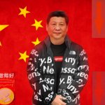 Xi Jinping drip minus a lot of social credit