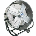 fan