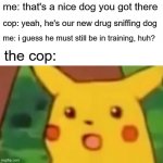 Surprised Pikachu Meme | me: that's a nice dog you got there cop: yeah, he's our new drug sniffing dog me: i guess he must still be in training, huh? the cop: | image tagged in memes,surprised pikachu,funny,hol up | made w/ Imgflip meme maker