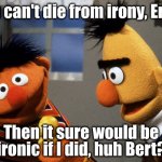 Give the Oscar to the rubber duckie | You can't die from irony, Ernie; Then it sure would be ironic if I did, huh Bert? | image tagged in ernie and bert discuss rubber duckie | made w/ Imgflip meme maker