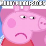 Muddy puddle stops meme