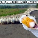 GOOSE | ME WHEN MY MOM DECIDES TO MAKE A NEW RULE | image tagged in goose | made w/ Imgflip meme maker