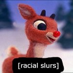 Rudolph Racial Slurs