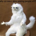 why tho | why is comic sans pissing people off? | image tagged in what the heck cat | made w/ Imgflip meme maker