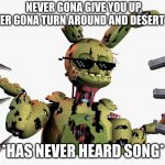 derpy springtrap | NEVER GONA GIVE YOU UP,
NEVER GONA TURN AROUND AND DESERT YOU; *HAS NEVER HEARD SONG* | image tagged in derpy springtrap | made w/ Imgflip meme maker