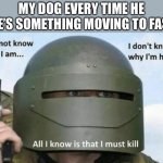 What’s the dog doin? | MY DOG EVERY TIME HE SEE’S SOMETHING MOVING TO FAST: | image tagged in i don't know who i am i don't know why i'm here why i'm here,dog,memes,funny | made w/ Imgflip meme maker