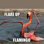 The Flare Up Flamingo | FLARE UP; FLAMINGO | image tagged in flamingo fail | made w/ Imgflip meme maker