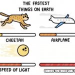 The fastest things on earth: cheetah, airplane, speed of light, | FAMOUS YOUTUBER CHAT SPEED | image tagged in the fastest things on earth cheetah airplane speed of light | made w/ Imgflip meme maker