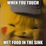 Pika | WHEN YOU TOUCH; WET FOOD IN THE SINK | image tagged in pika | made w/ Imgflip meme maker