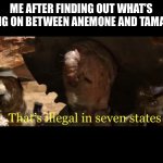 Wings of Fire ships | ME AFTER FINDING OUT WHAT’S GOING ON BETWEEN ANEMONE AND TAMARIN: | image tagged in illegal in seven states | made w/ Imgflip meme maker