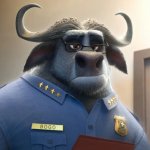 Chief Bogo Doesn't Care