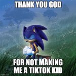 praying sonic | THANK YOU GOD; FOR NOT MAKING ME A TIKTOK KID | image tagged in praying sonic,memes,tiktok,tiktok sucks | made w/ Imgflip meme maker