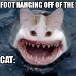 It do be true tho | *MY FOOT HANGING OFF OF THE BED*; MY CAT: | image tagged in shark cat | made w/ Imgflip meme maker
