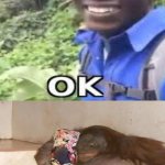 the monke has betrayed us all... :( | image tagged in long blank white,top 10 anime betrayal,monkey puppet,simp | made w/ Imgflip meme maker
