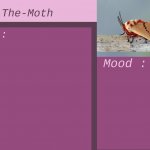 Mizu-The-Moth