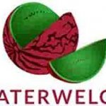 MATERWELON