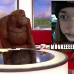where monkey | MONKEEEEEEEEEE!!!!!! | image tagged in where monkey,jimmyhere,monke,crackhead | made w/ Imgflip meme maker