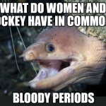 both of which are preceded by extreme violence | WHAT DO WOMEN AND HOCKEY HAVE IN COMMON? BLOODY PERIODS | image tagged in happy eel | made w/ Imgflip meme maker