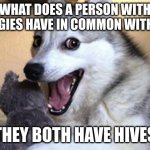 used this in a science presentation | WHAT DOES A PERSON WITH ALLERGIES HAVE IN COMMON WITH BEES; THEY BOTH HAVE HIVES | image tagged in bad pun dog,allergies,bees,bad puns | made w/ Imgflip meme maker