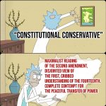 Constitutional conservative