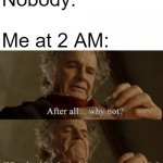After all.. why not? | Nobody:
 
Me at 2 AM:; Why shouldn't I watch just one more video? | image tagged in after all why not | made w/ Imgflip meme maker