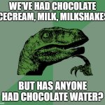 Chocolate Water | WE'VE HAD CHOCOLATE ICECREAM, MILK, MILKSHAKES; BUT HAS ANYONE HAD CHOCOLATE WATER? | image tagged in dino think dinossauro pensador,chocolate,water,funny,memes,unacceptable | made w/ Imgflip meme maker