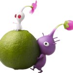 Purple Pikmin & White Pikmin