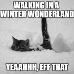 Walking in a winter wonderland | WALKING IN A 
WINTER WONDERLAND; YEAAHHH, EFF THAT | image tagged in snow cat | made w/ Imgflip meme maker