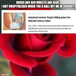 roses are red | ROSES ARE RED VIOLETS ARE BLUE.

I GOT HOSPITALISED WHEN THE A BALL HIT ME IN CRICKET. | image tagged in roses are red,roses,among us | made w/ Imgflip meme maker