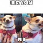 call a pug juicy | JUICY VS FAT; PUG | image tagged in happy dog then angry dog | made w/ Imgflip meme maker