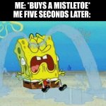 Remembering 2020 Christmas | ME: *BUYS A MISTLETOE*
ME FIVE SECONDS LATER: | image tagged in sad crying spongebob,christmas | made w/ Imgflip meme maker