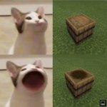 Popping Cat=Minecraft open barrel