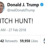 WITCH HUNT!