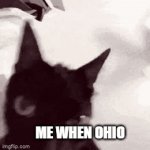 cat | ME WHEN OHIO | image tagged in gifs,shake | made w/ Imgflip video-to-gif maker