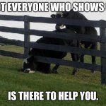 cow stuck in fence | NOT EVERYONE WHO SHOWS UP; IS THERE TO HELP YOU. | image tagged in cow stuck in fence | made w/ Imgflip meme maker