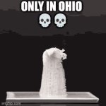 nah bro im done with ohio | ONLY IN OHIO 
💀💀 | image tagged in gifs,funny,only in ohio | made w/ Imgflip video-to-gif maker