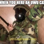 we all feel this | WHEN YOU HERE AN UWU CAT | image tagged in confused screaming but with gas mask | made w/ Imgflip meme maker