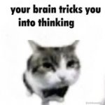 your brain tricks you into thinking meme