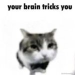 your brain tricks you meme