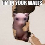 im in your walls