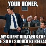He did it for the vine | YOUR HONER, MY CLIENT DID IT FOR THE VINE, SO HE SHOULD BE RELEASED | image tagged in lawyer | made w/ Imgflip meme maker