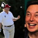 Trump golfs and thinks about liberals, Elon laughs