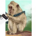 Monkey W/ gun template